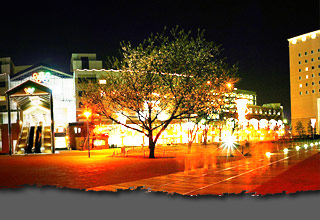  [ ������������� ] 